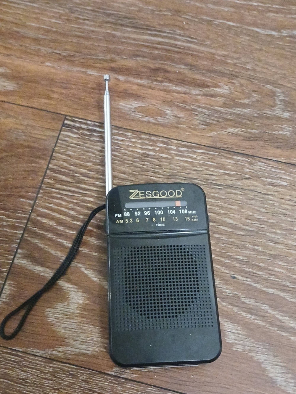 Zesgood Portable AM/FM Pocket Radio